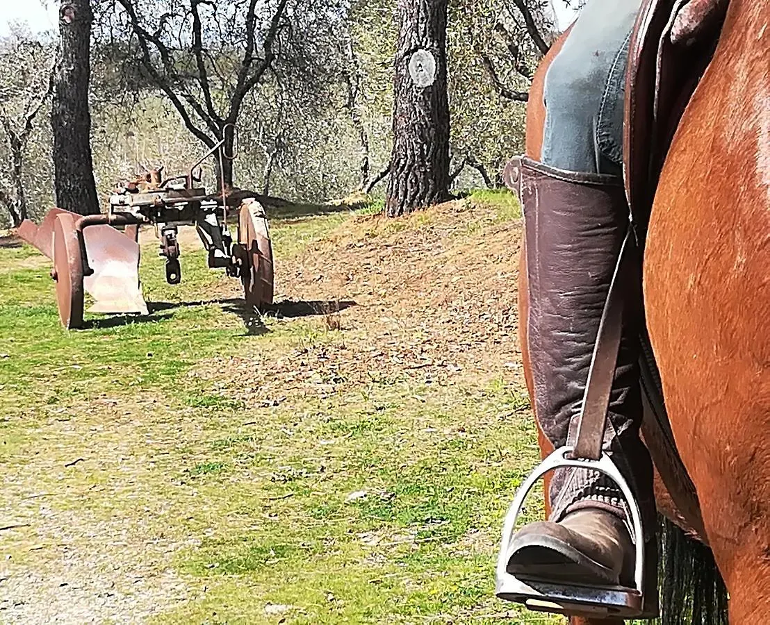 Farm stay Agriturismo Il Riguardino Hotel San Quirico d'Orcia Italy