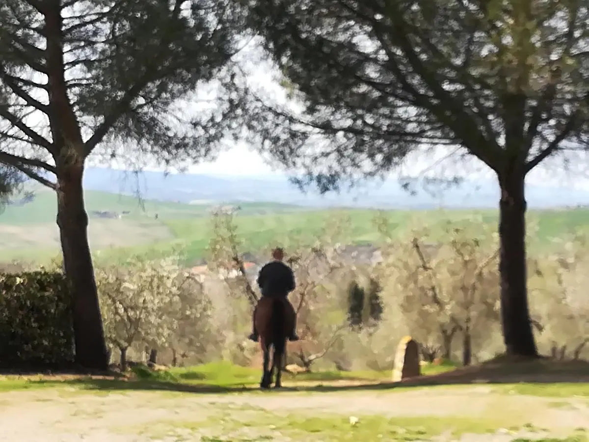 Farm stay Agriturismo Il Riguardino Hotel San Quirico d'Orcia Italy