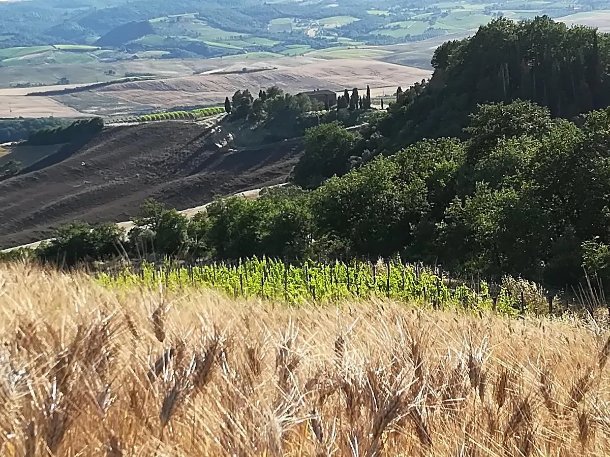 Agriturismo Il Riguardino Hotel San Quirico d'Orcia Italy