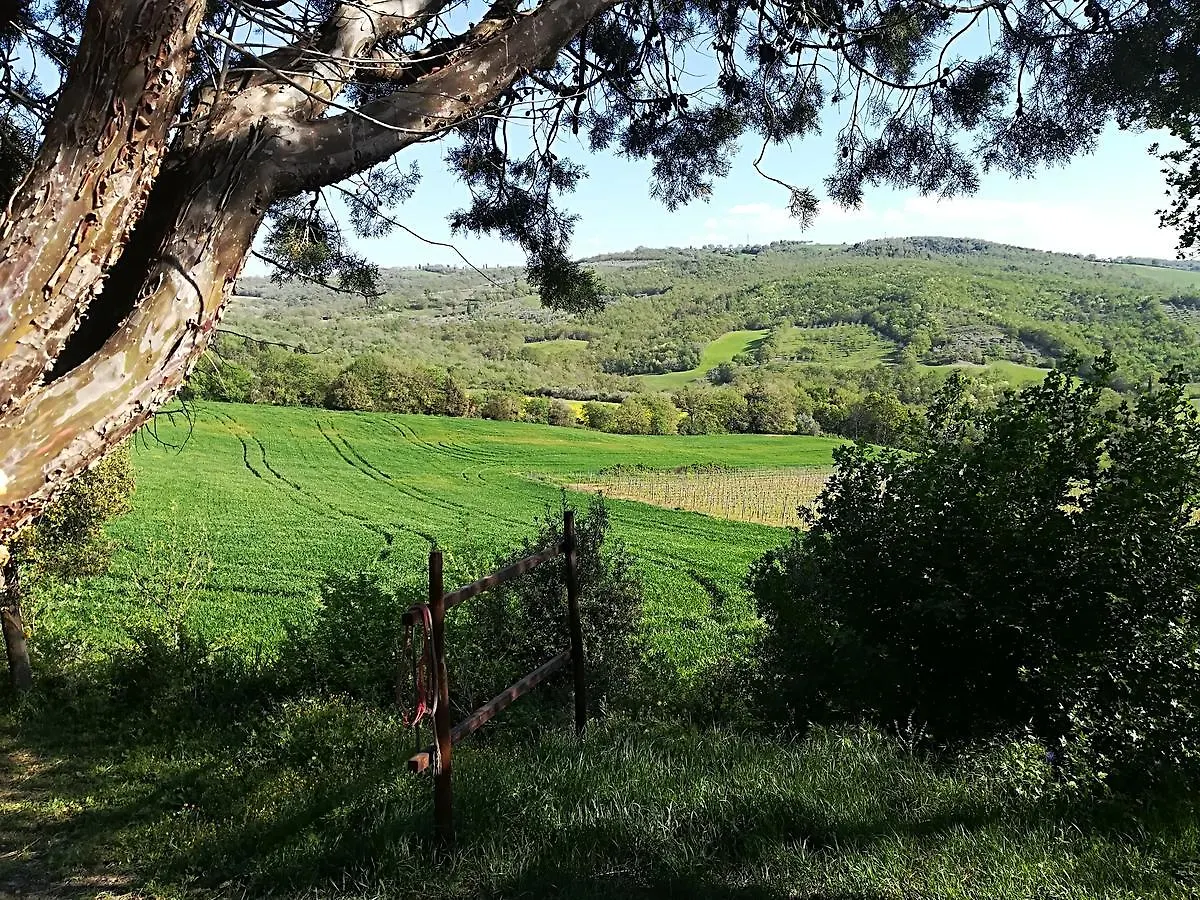Agriturismo Il Riguardino Hotel San Quirico d'Orcia Farm stay
