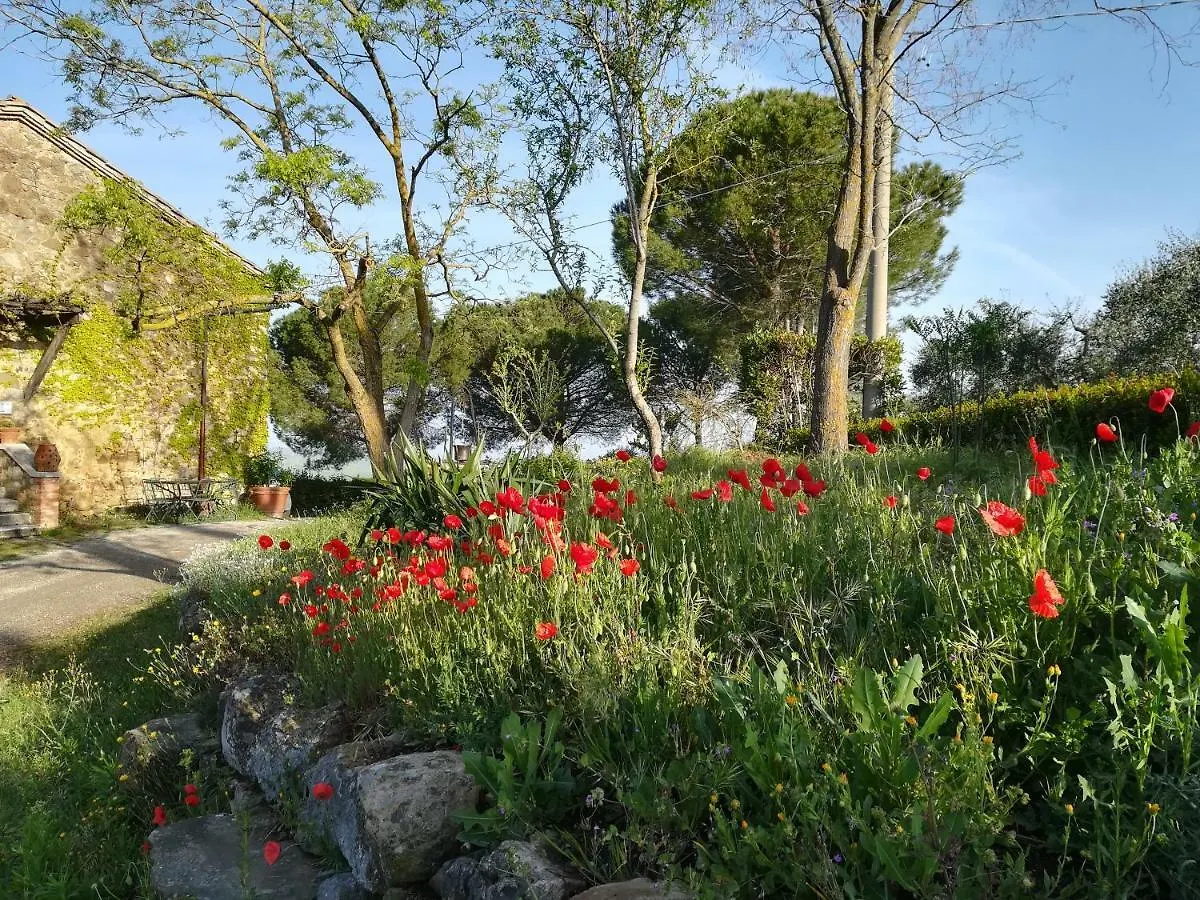 Agriturismo Il Riguardino Hotel San Quirico d'Orcia Farm stay